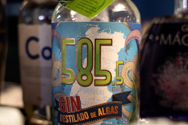 fishandgin_114