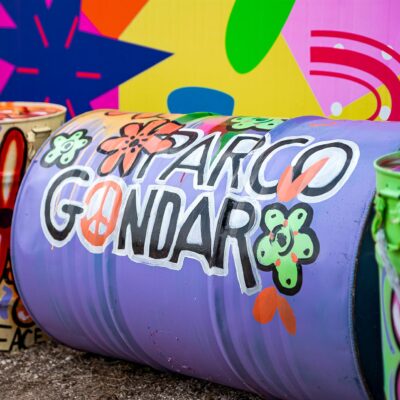 gda_parcogondar_2023_oriz-198